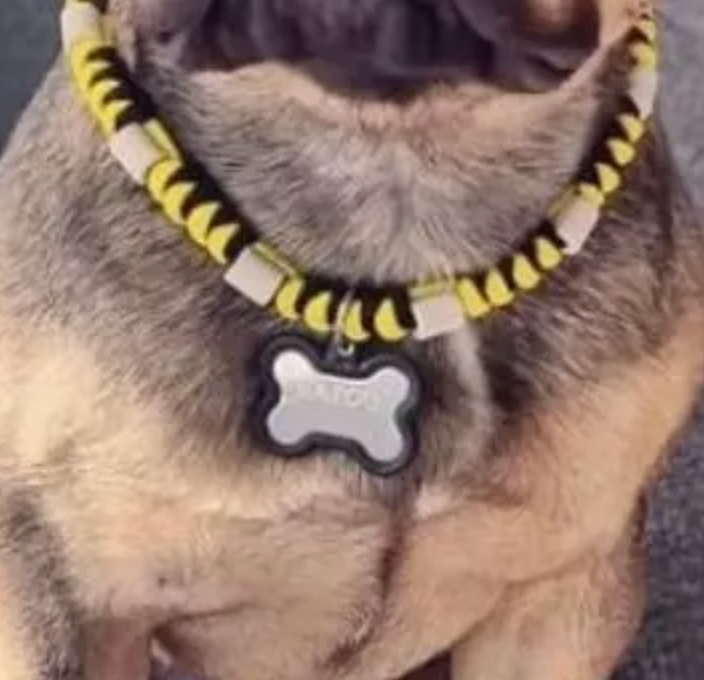 fabriquer un collier avec les perles céramique EM Ceramics anti-tiques et puces pour animaux domestiques