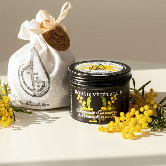 Bougie parfum mimosa, symbole, énergie, positive, courage 